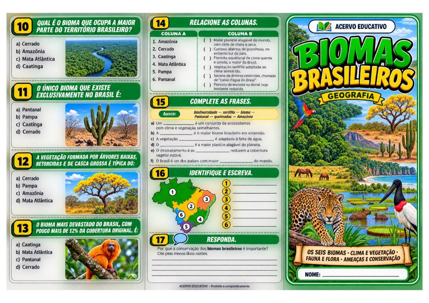 Folder de Biomas Brasileiros — capa e atividades